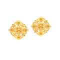 Earrings - 111E1664