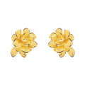 Earrings - 111E2454