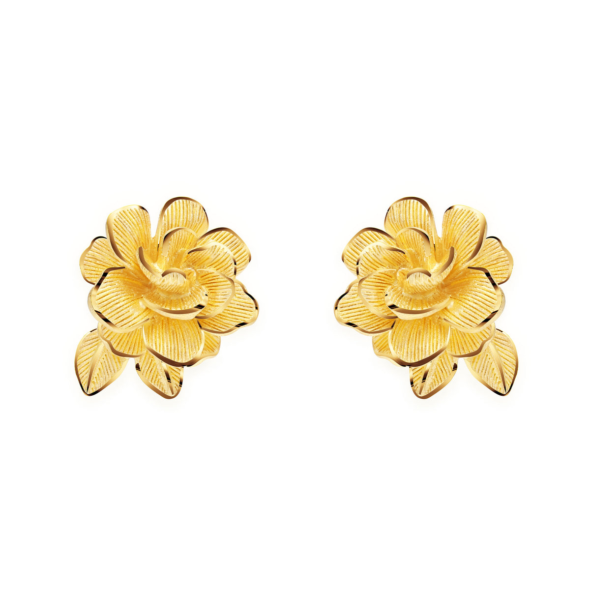 Earrings - 111E2454
