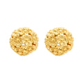Earrings - 111E3869
