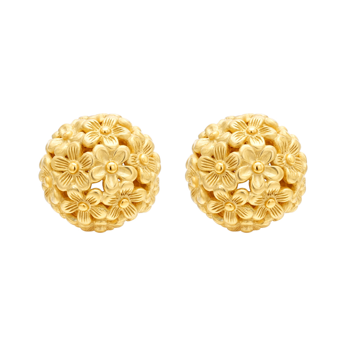 Earrings - 111E3869
