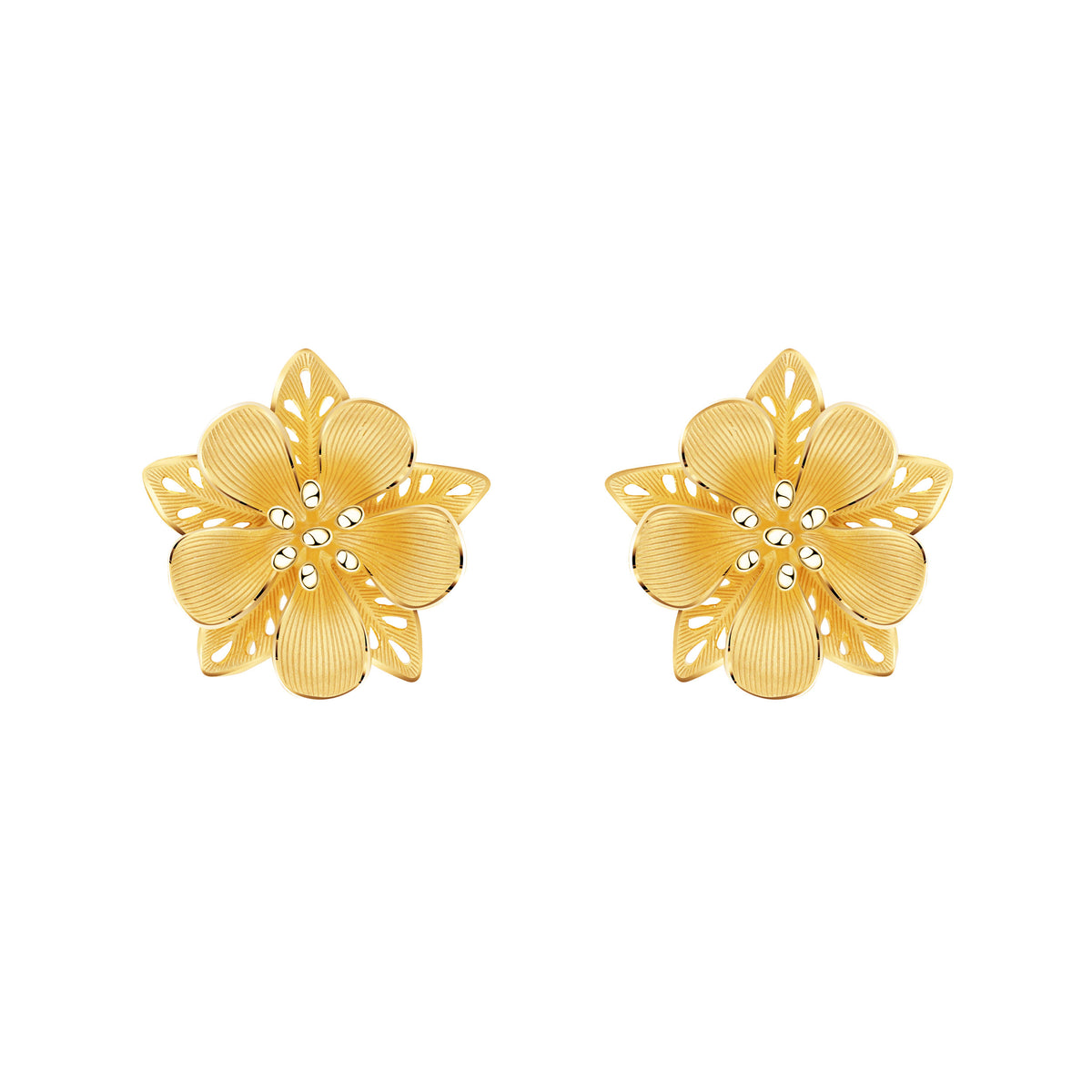 Earrings - 111E4018