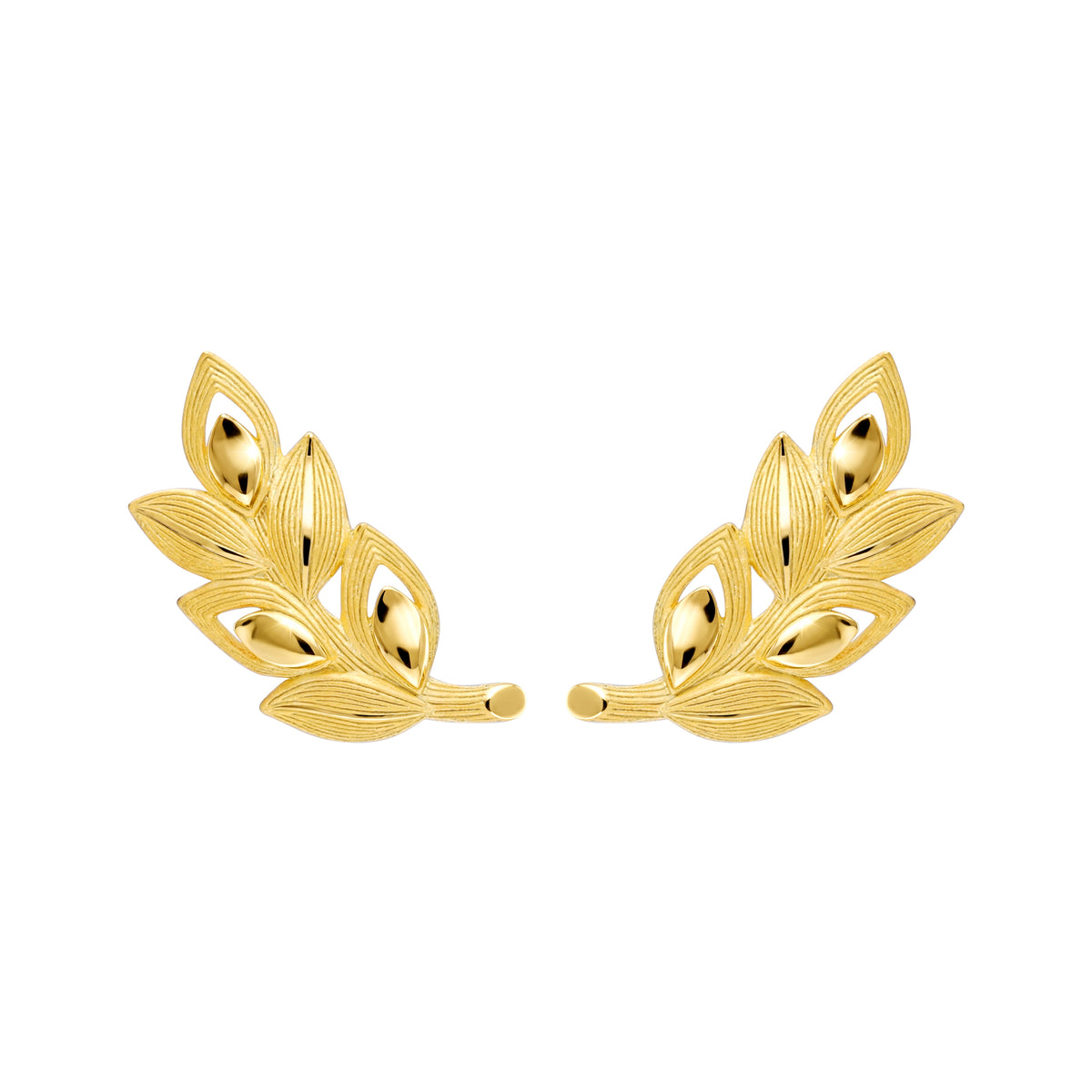 Earrings - 111E4215