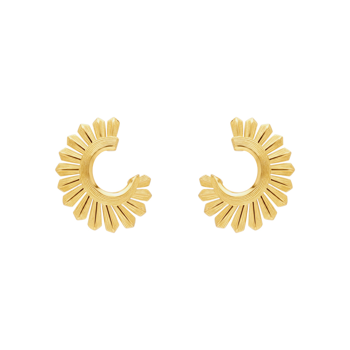 Earrings - 111E4326