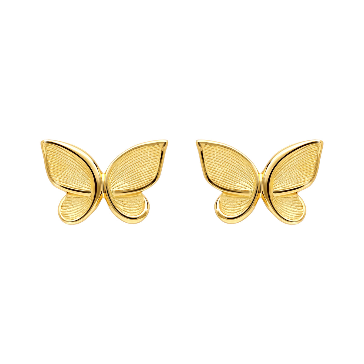 Earrings - 111E4548