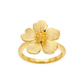 Ring - 111R3356