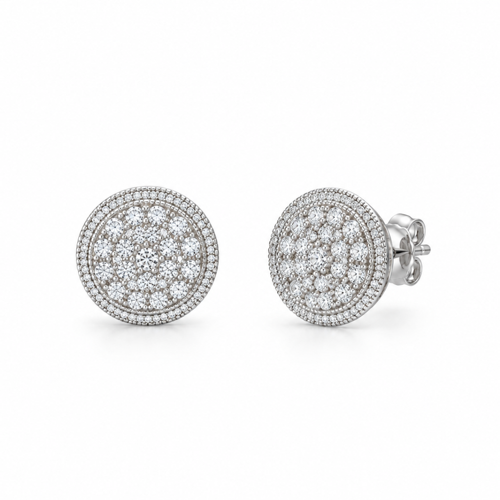 Earrings - 4129