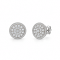 Earrings - 4129