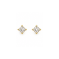 Earrings - 2707