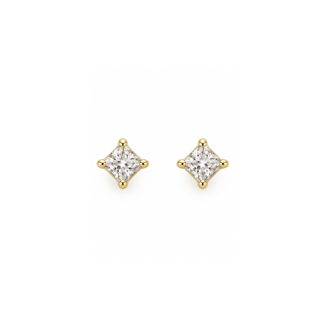 Earrings - 2707