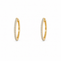 Earrings - 4870