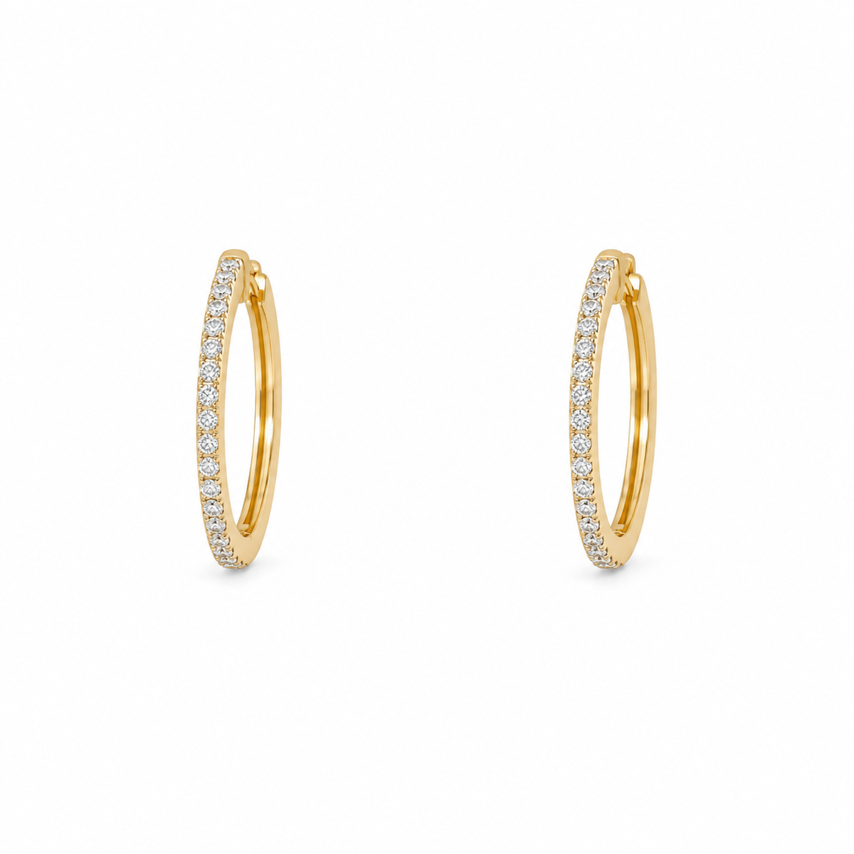 Earrings - 4870