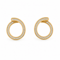 Earrings - 4868