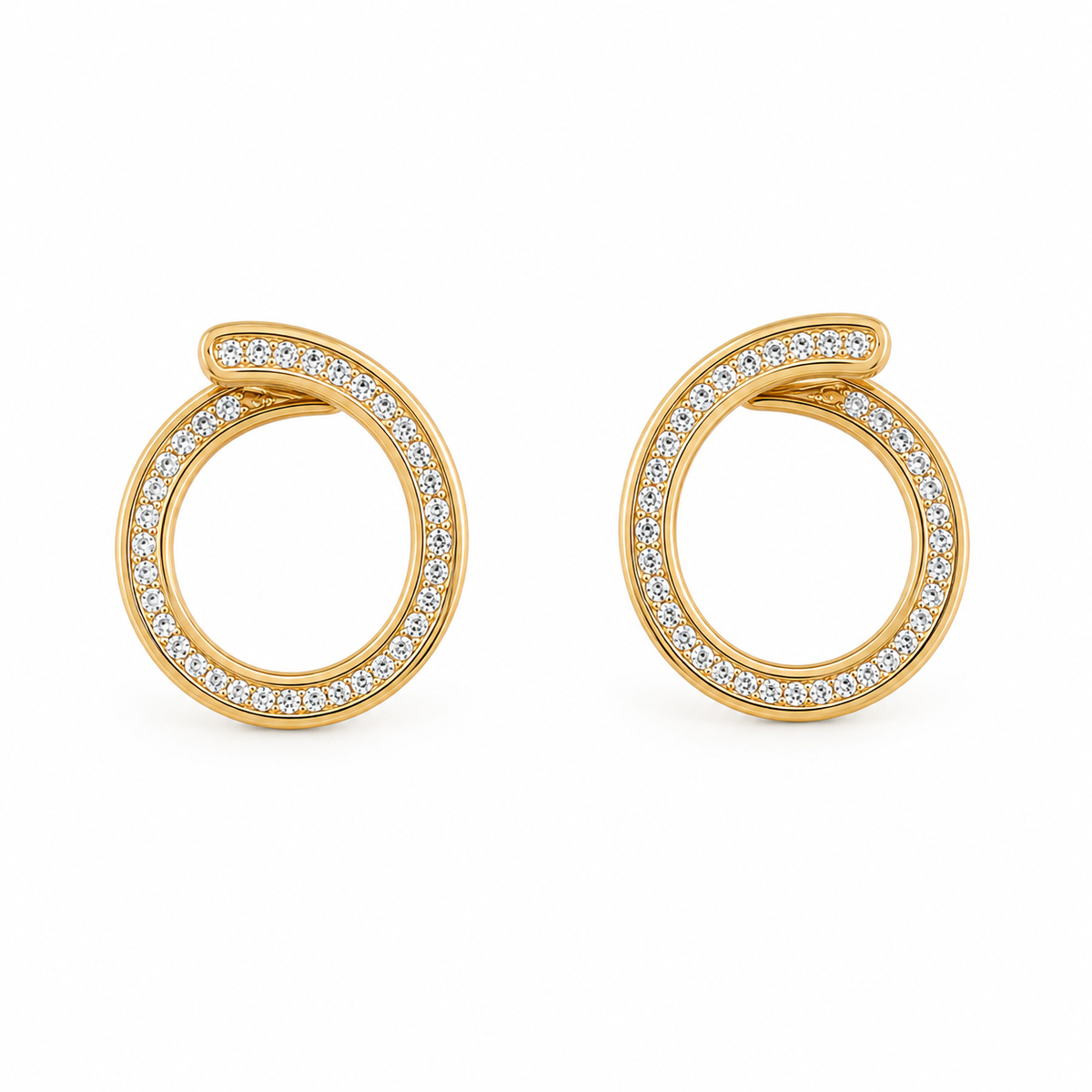 Earrings - 4868