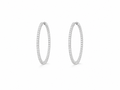 Earrings - 4884