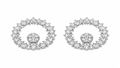 Earrings - 4125