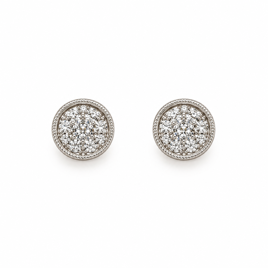 Earrings - 4129