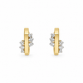 Earrings - 4869