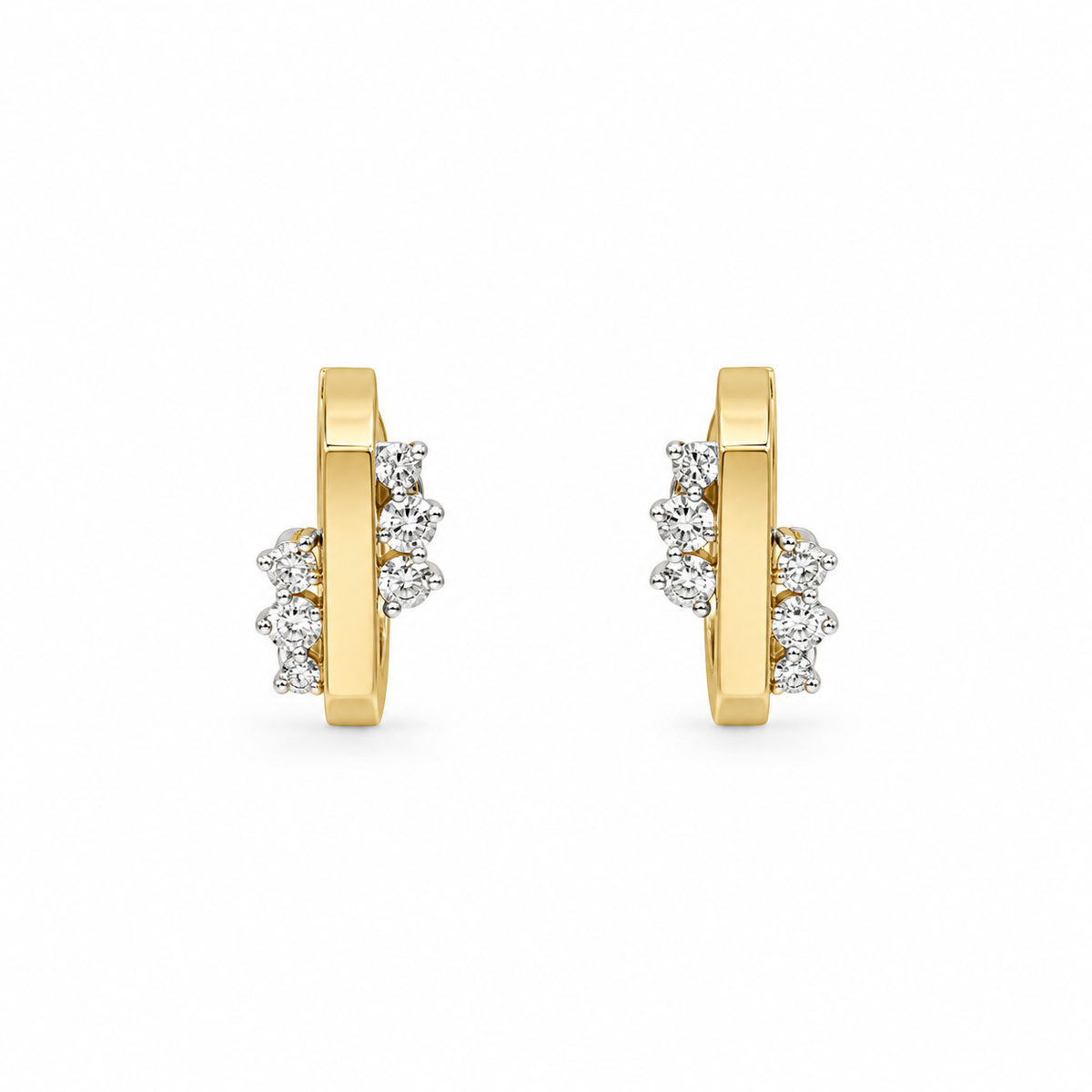 Earrings - 4869