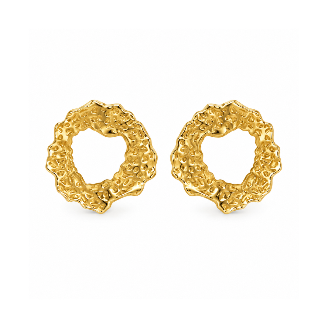 Earrings - 4898